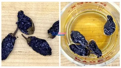 Rehydrate the Dried Chipotles