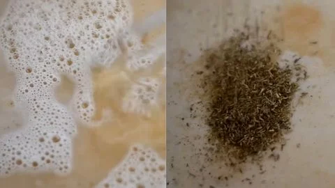 Build the Soup Base